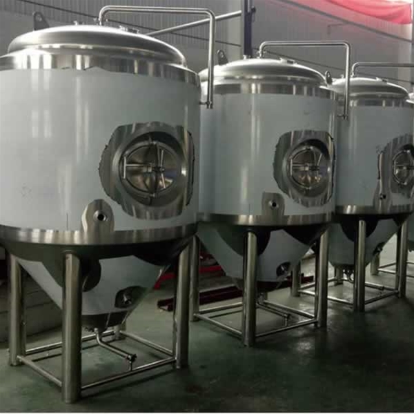 上海东洛500L精酿啤酒项目